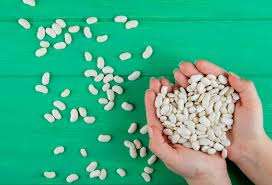 White and Brown Beans